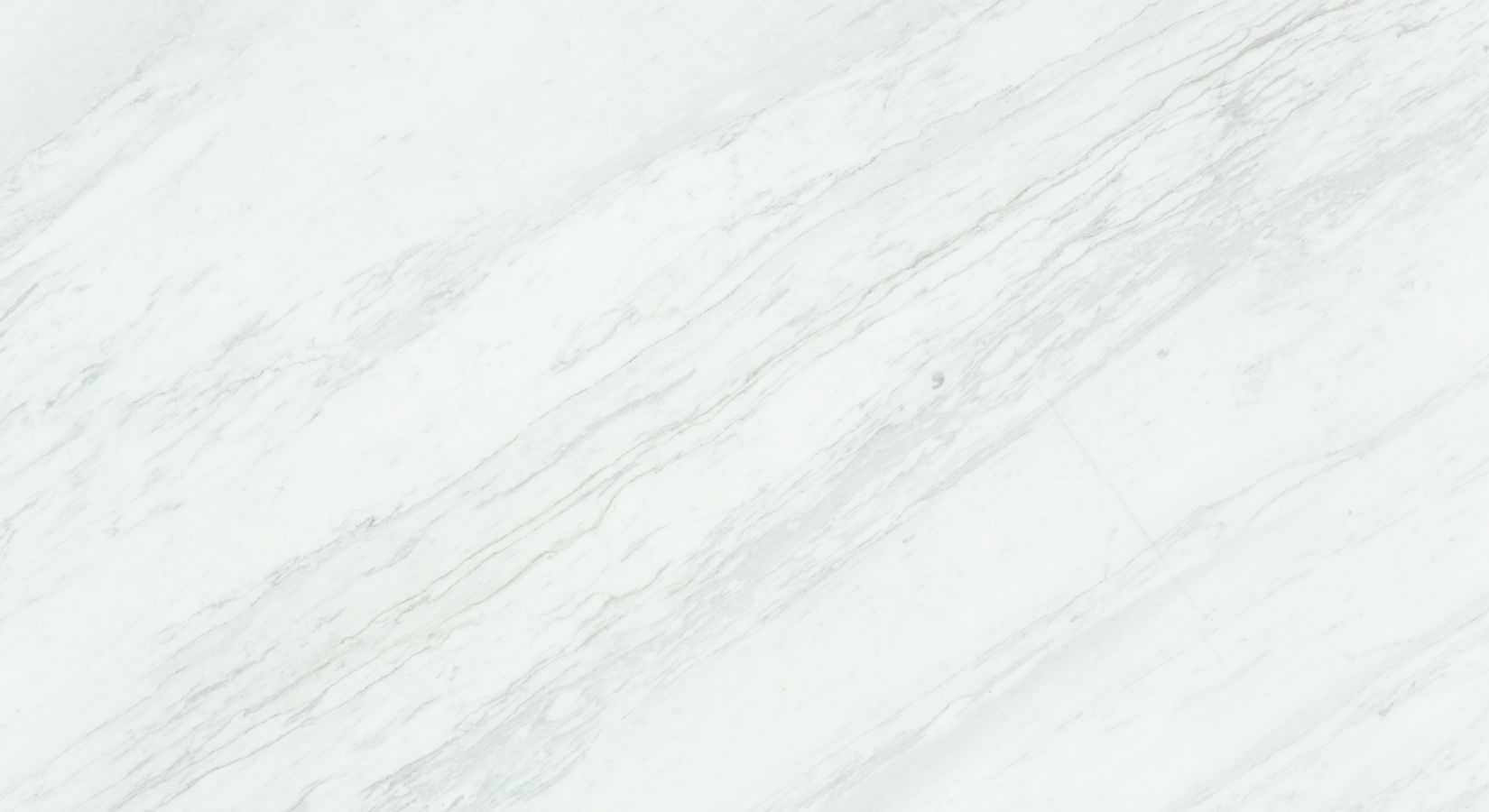Platinum White