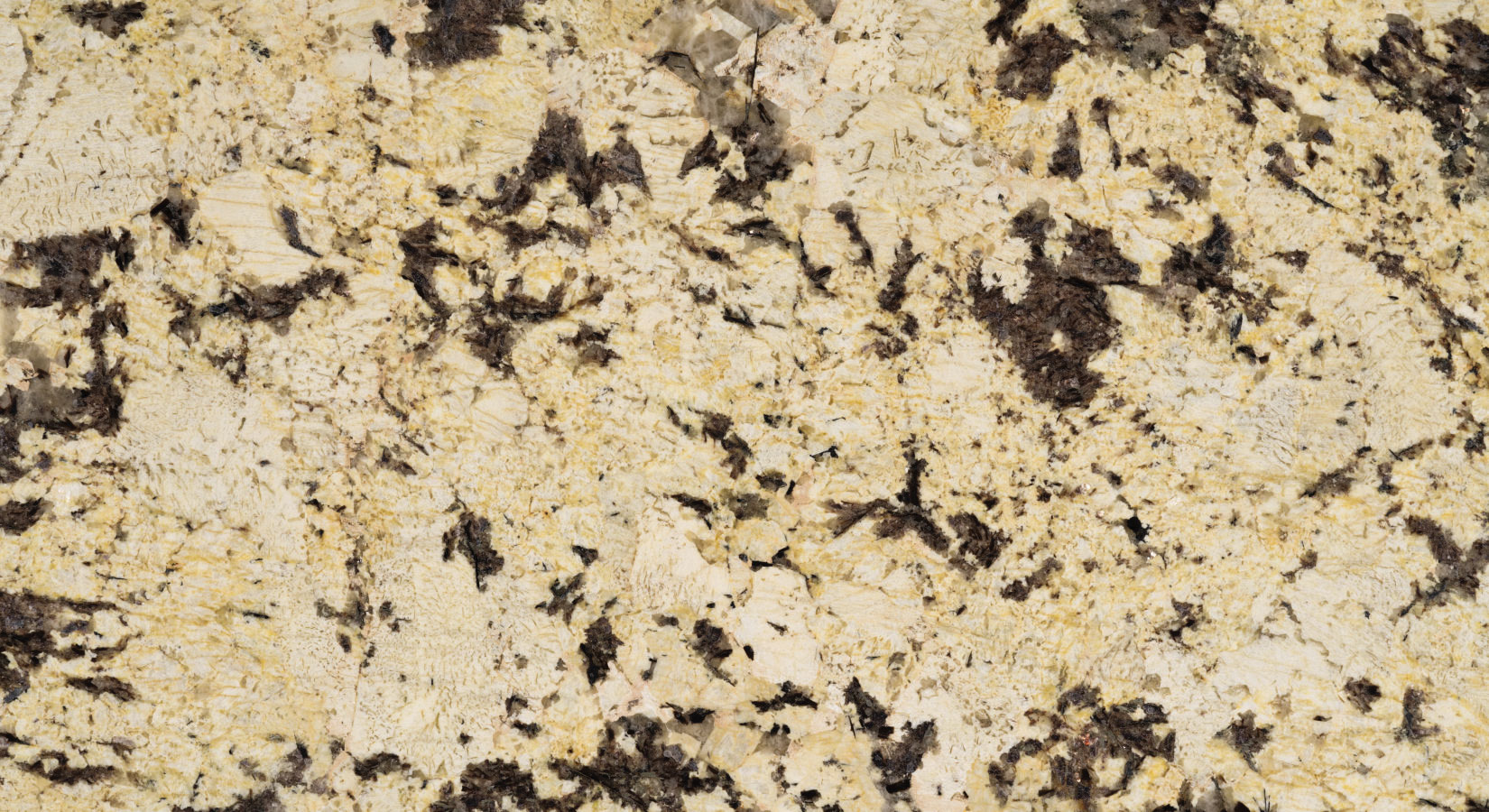 product_image_3348_1650006235