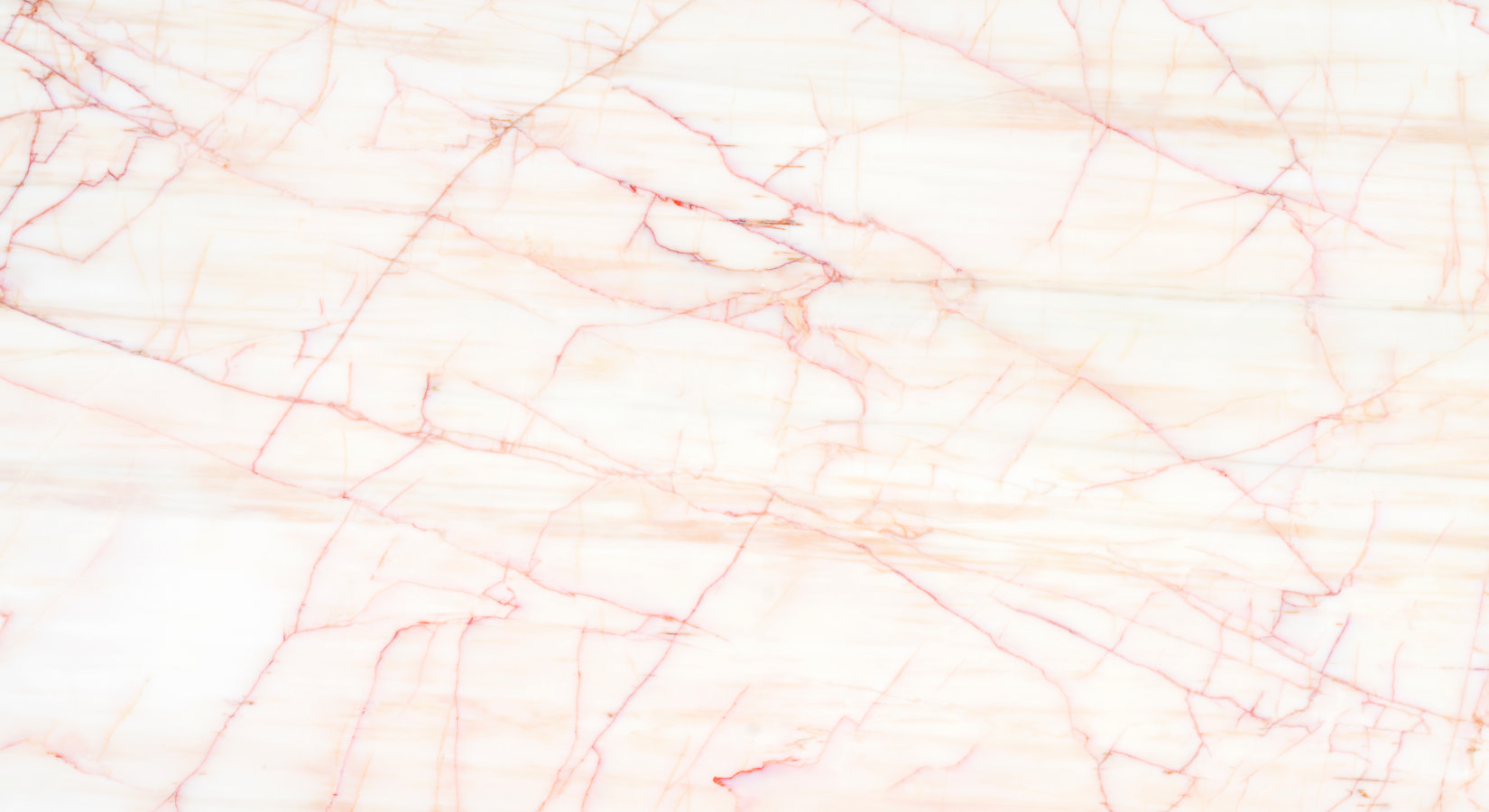 product_image_9927_1649923211